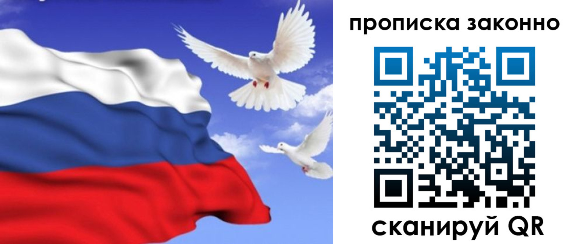 прописка в Эртили